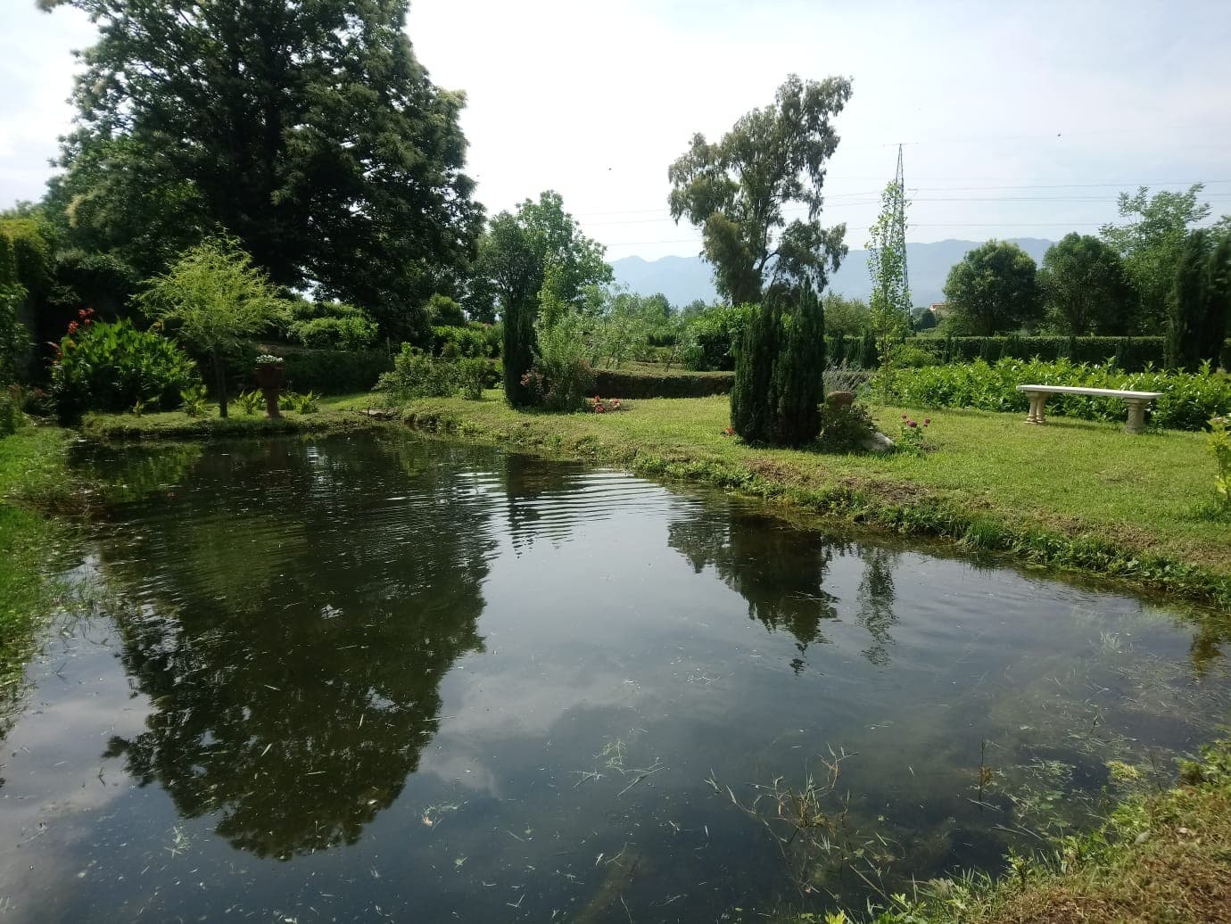 Sorgenti del Fizzo 2